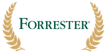 Forrester Wave Risk Based Authentication – Contender